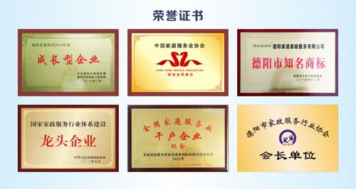 家道家政公布2024年度 智慧互聯(lián) 引擎計(jì)劃